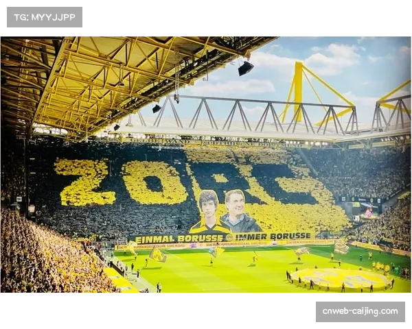 威斯特法伦南看台：多特蒙德球迷的欧冠之夜